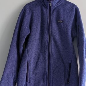 Patagonia Better Sweater in Purple